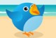 Tweet Birds