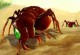 Bug War