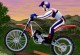 Stunt Mania