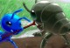 Bug War 2