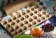 Bohnenspiel – Mancala