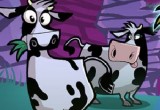 Cow Bandits