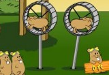 Flug der Hamster Flug der Hamster