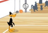 Duck Volleyball