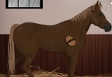 Traum Pferd
