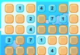 Sudoku Puzzle