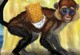 Lustiger Affe