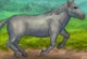 Mein Pferd