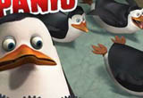 Pinguine Madagascar