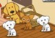 Animal Shelter
