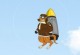 Airborne Kangaroo