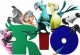 Rio der Film zum Ausmalen