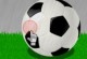 New Star Soccer