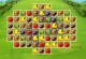 Farm of Dreams