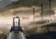 Last Line of Defense