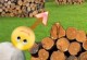 Smilie Spiel
