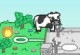 Cowlorful